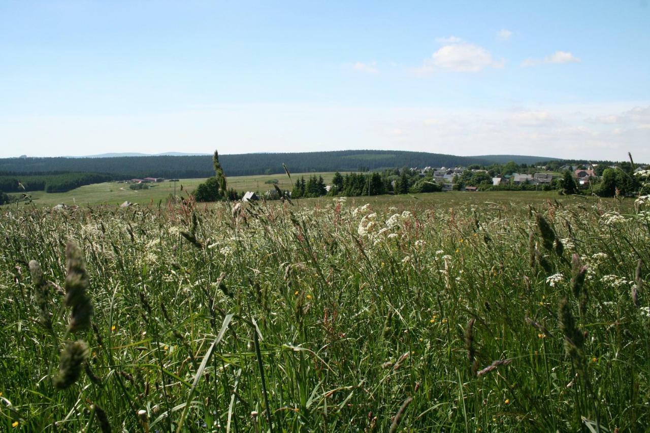 Landhaus Edelweiss Bed&Breakfast - Adults Only Neustadt am Rennsteig Eksteriør bilde