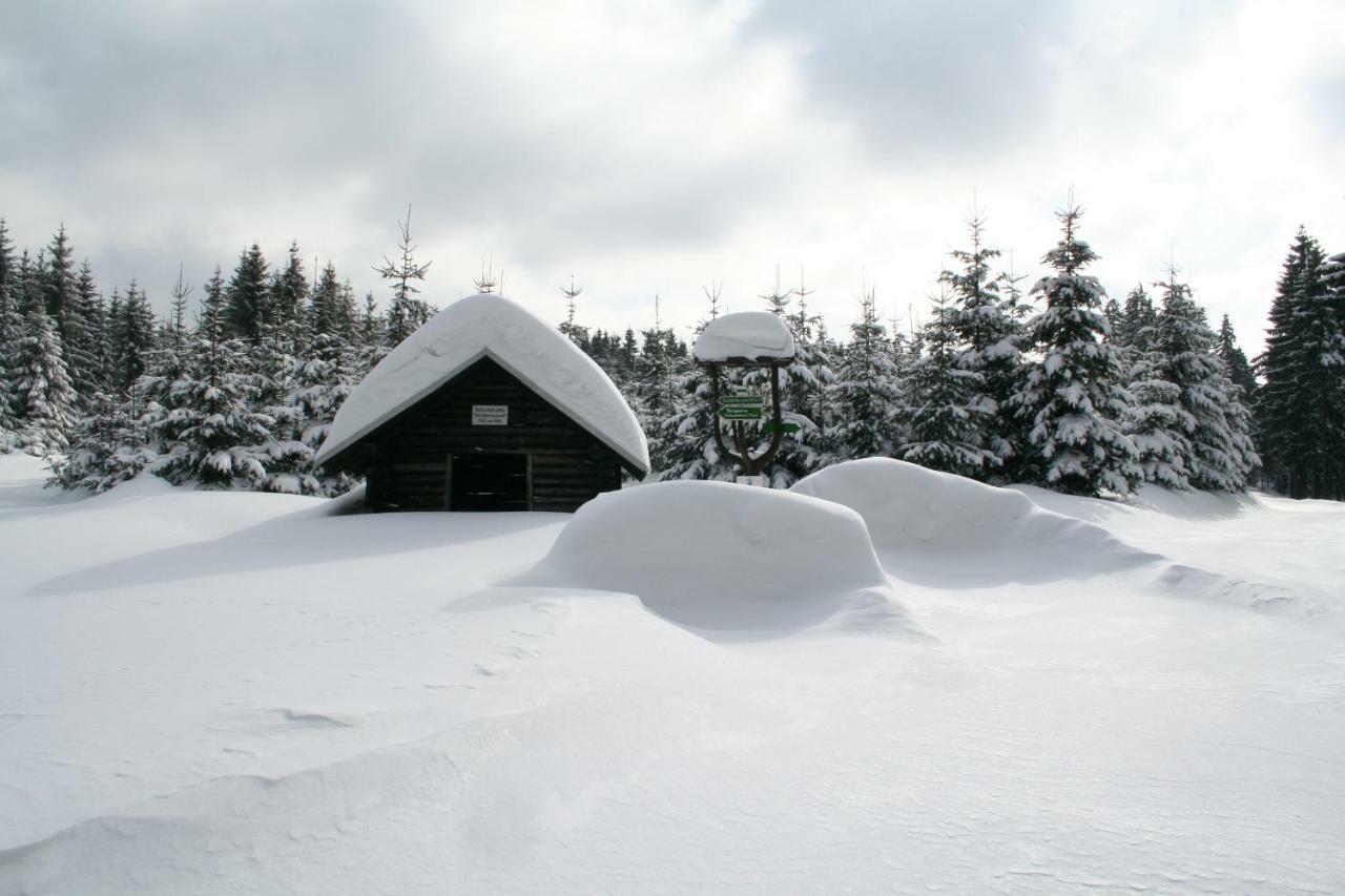 Landhaus Edelweiss Bed&Breakfast - Adults Only Neustadt am Rennsteig Eksteriør bilde